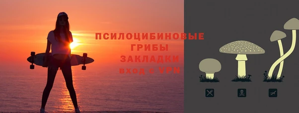 PSILOCYBIN Аркадак