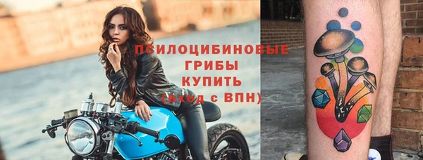 стафф Армянск